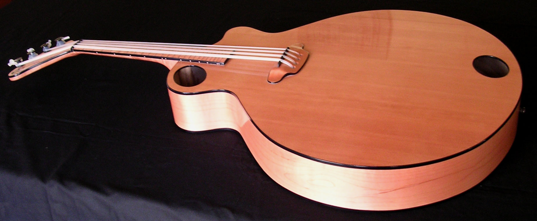 Guild Of American Luthiers Pdf