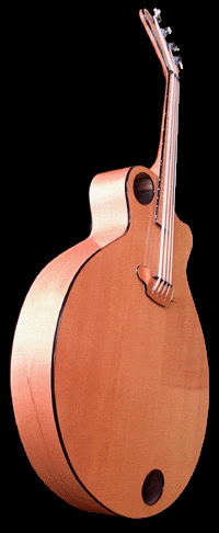 Acoustic Ashbory-like Bass